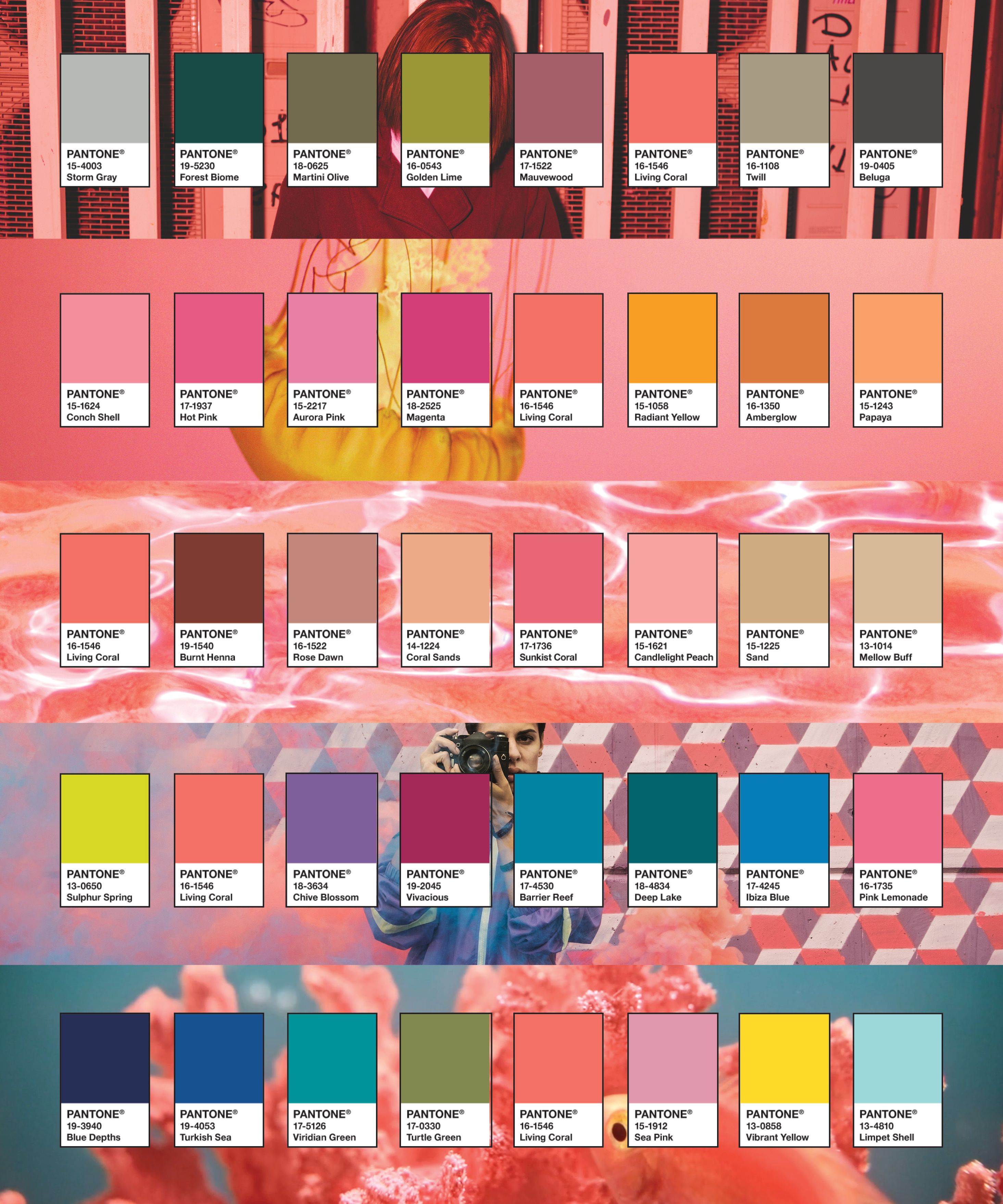 2019 pantone color palette